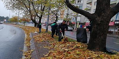 Büyükşehir, Topladığı Gazelleri Gübreye Dönüştürüyor